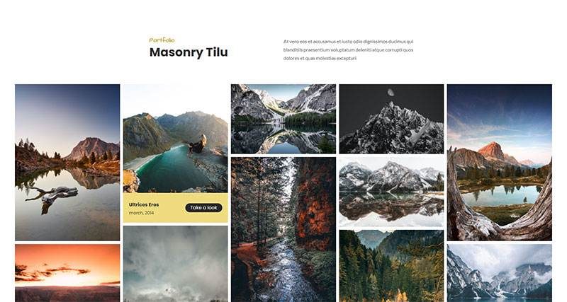 Masonry Tilu